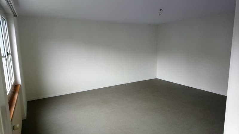 Wohn- und Schlafzimmer