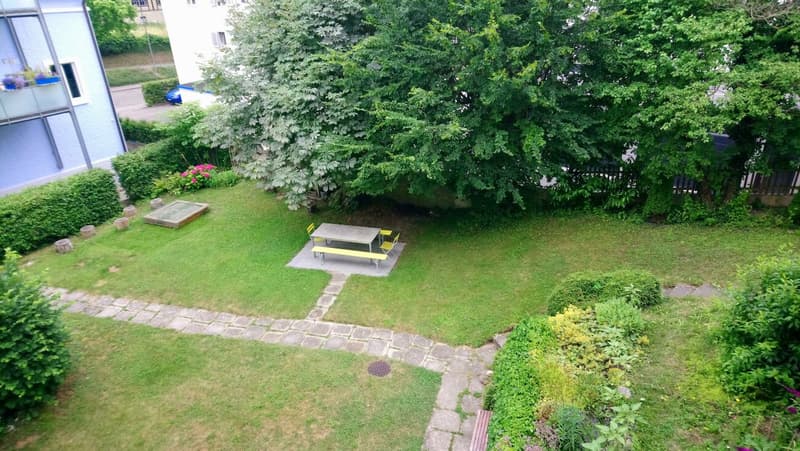 Blick ins Grüne