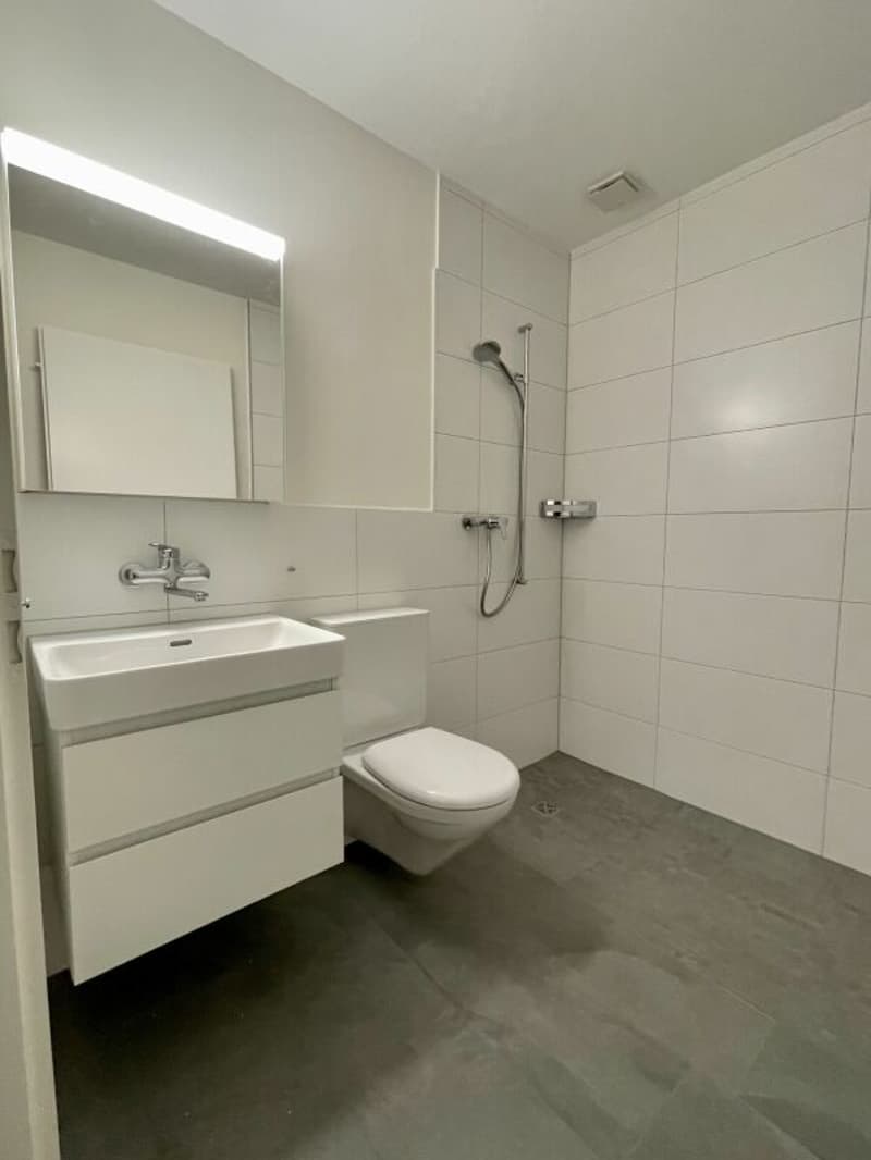 Modern wohnen zwischen Stadt und Natur (6)