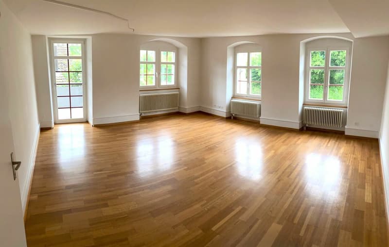 Wohnung mit Stil in Stadtnähe (8)