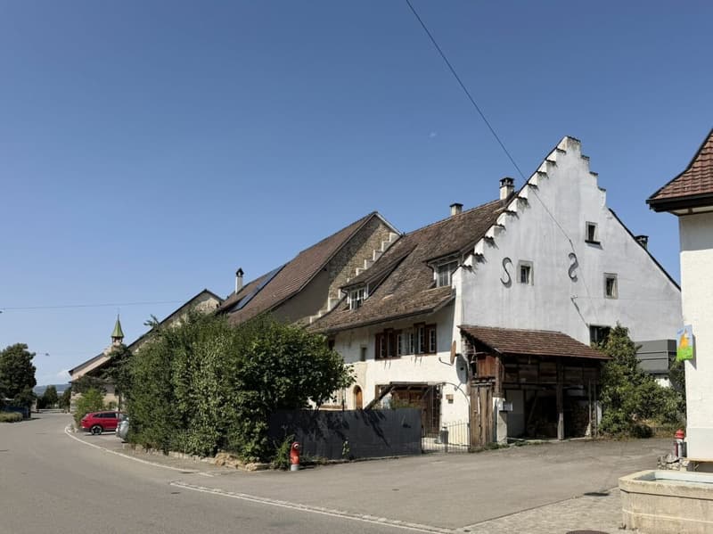 Historisches Haus mit besonderem Charakter (2)