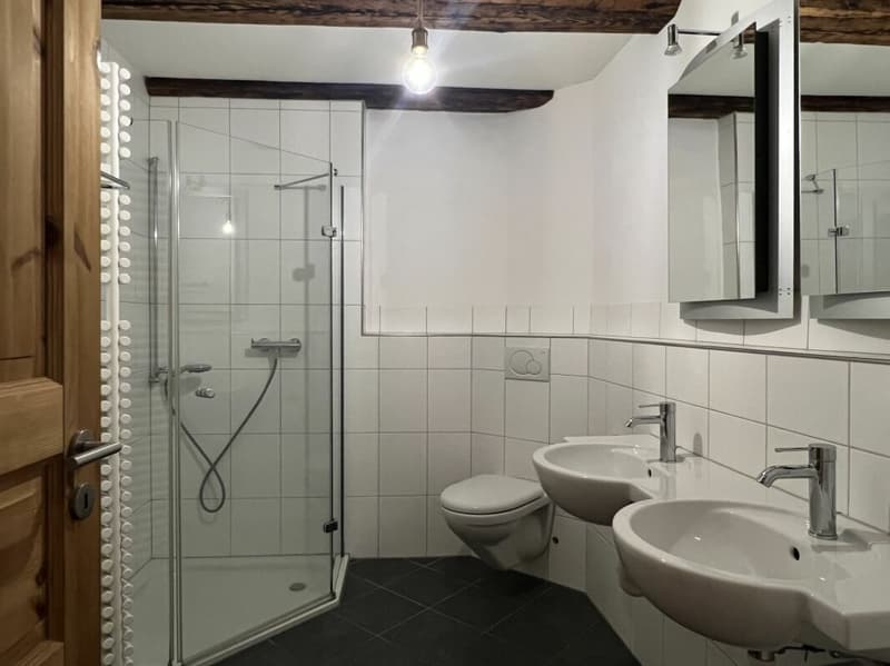 Historisches Haus mit besonderem Charakter (9)
