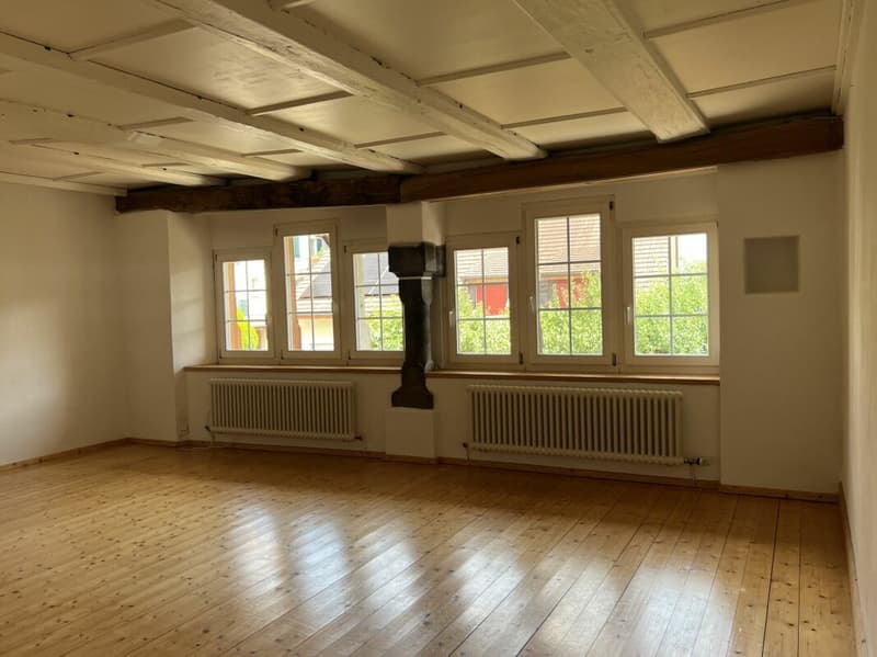 Historisches Haus mit besonderem Charakter (7)