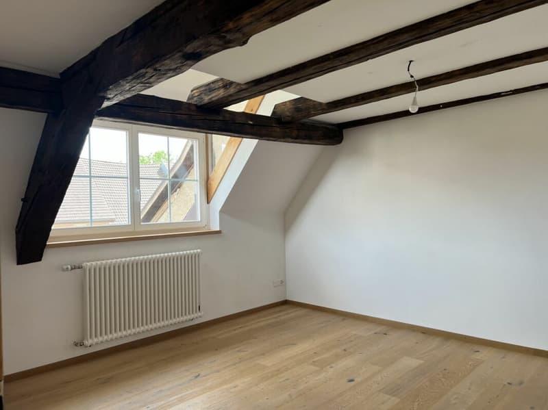 Historisches Haus mit besonderem Charakter (8)