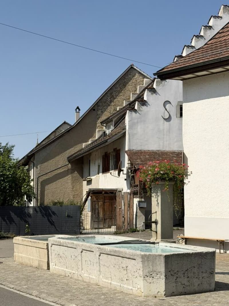 Historisches Haus mit besonderem Charakter (13)