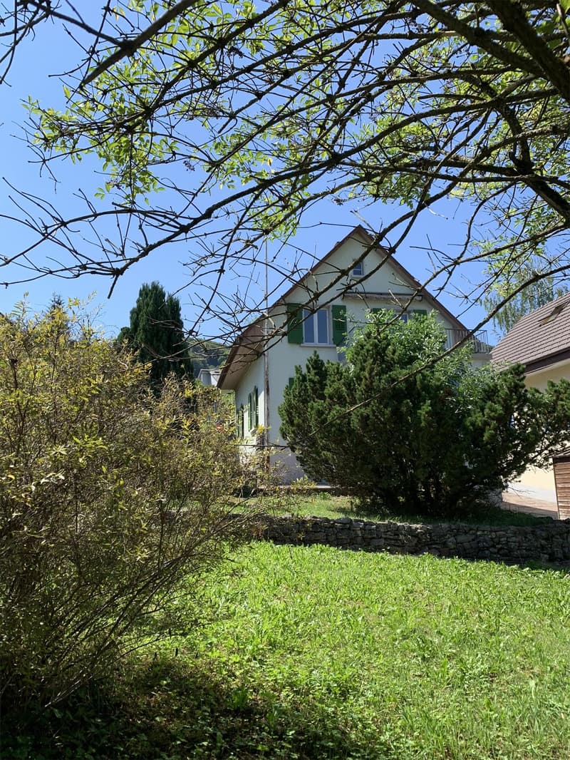 Ansicht Nord quer durch den Garten