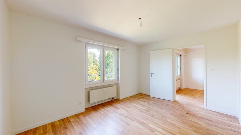 Zimmer_2