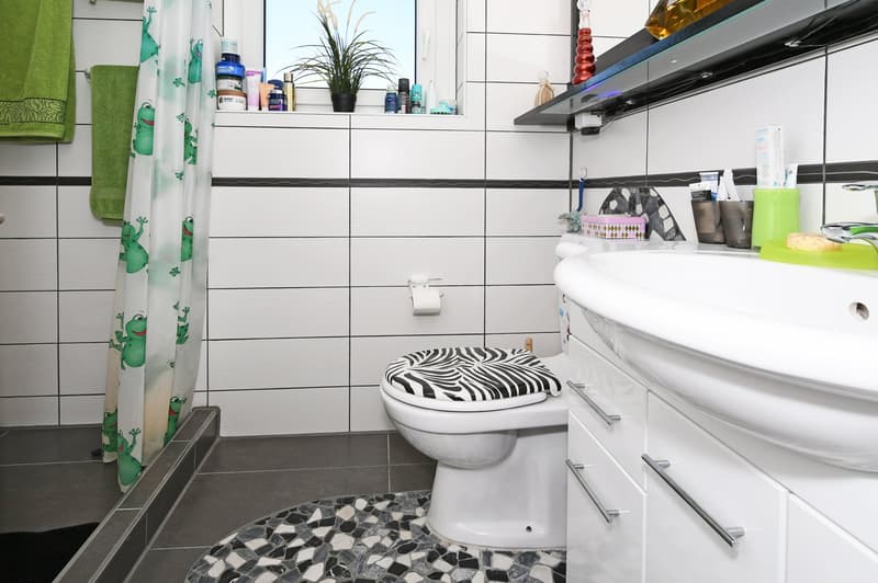 Spannende 4-Zi‘-Dachwohnung mit grosser Terrasse (7)