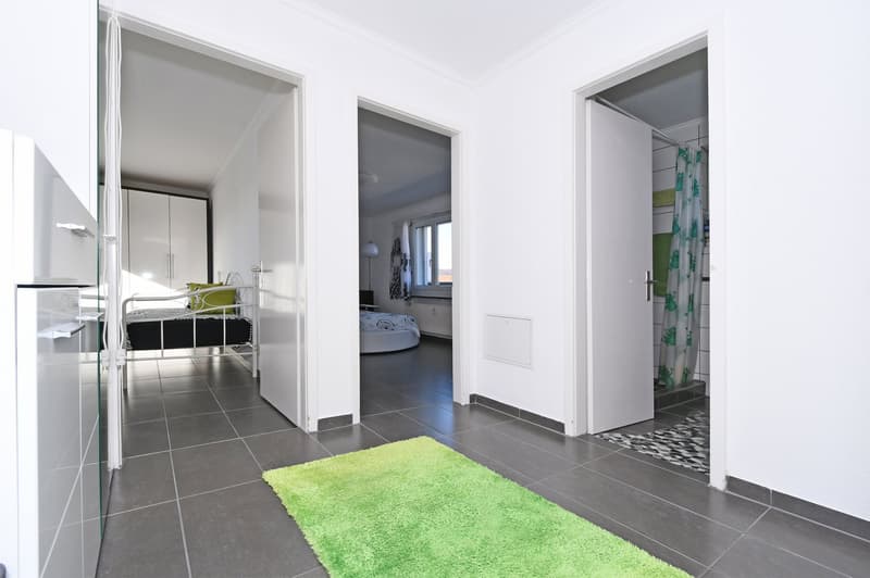 Spannende 4-Zi‘-Dachwohnung mit grosser Terrasse (6)