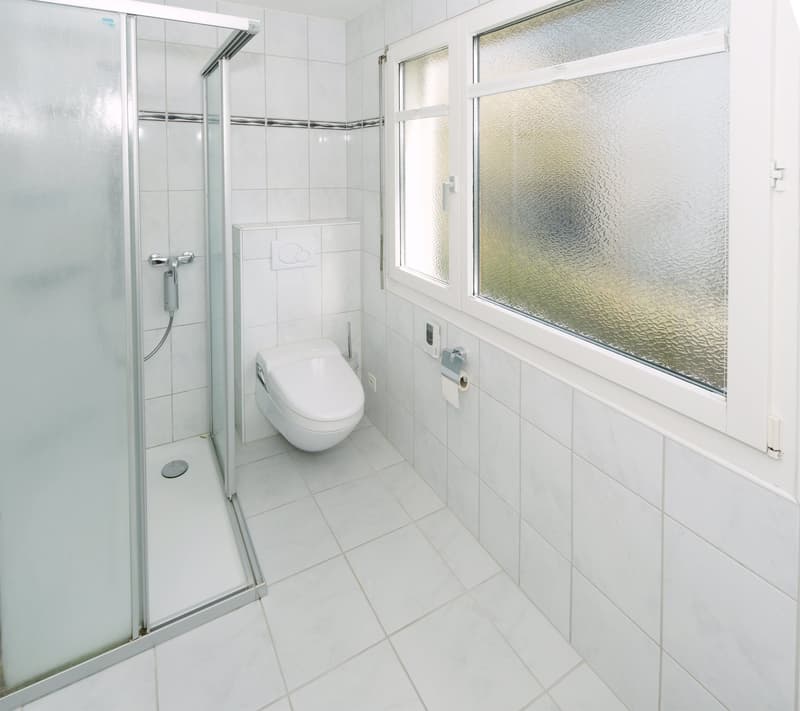Bathroom with white tiles, glass shower enclosure, white toilet, white sink, window with frosted glass