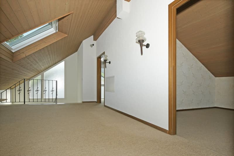 empty room, wooden ceiling, white walls, carpeted floor, skylight, windows, metal railing