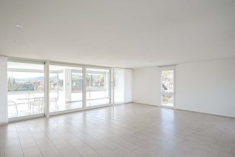 Grosszügige 5.5-Zimmer-Dachwohnung mit Panoramablick in Biel-Benken (3)
