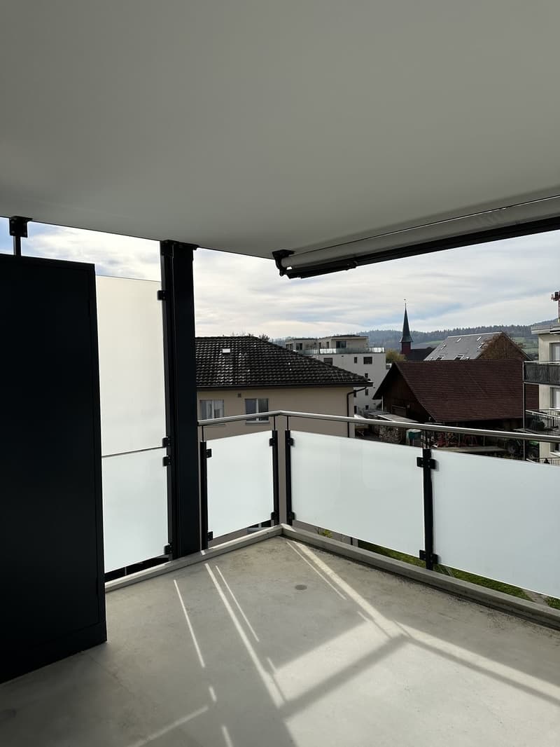 Habitation moderne à Niederhasli avec terrasse sur le toit et jardin d'hiver (5)