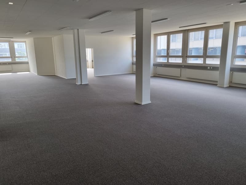 Bright office space for rent in the industrial zone of Dietikon (4)