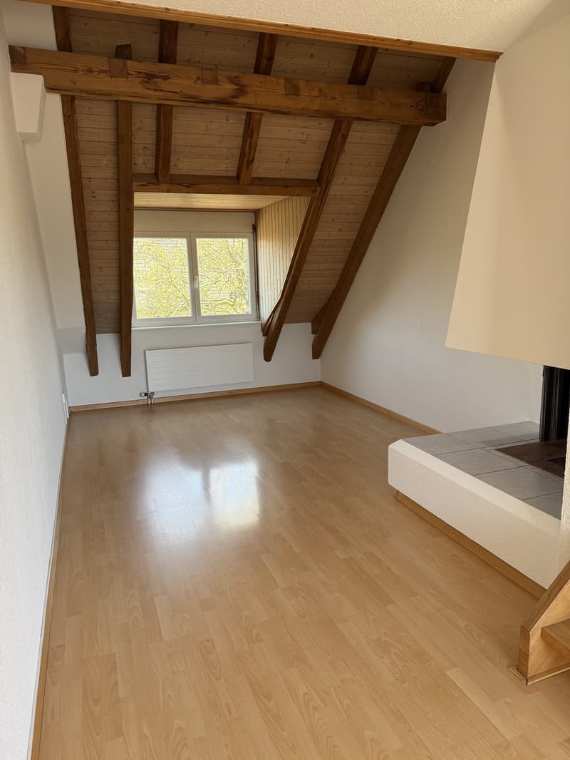 Appartement 2,5 pièces à Zurich (4)