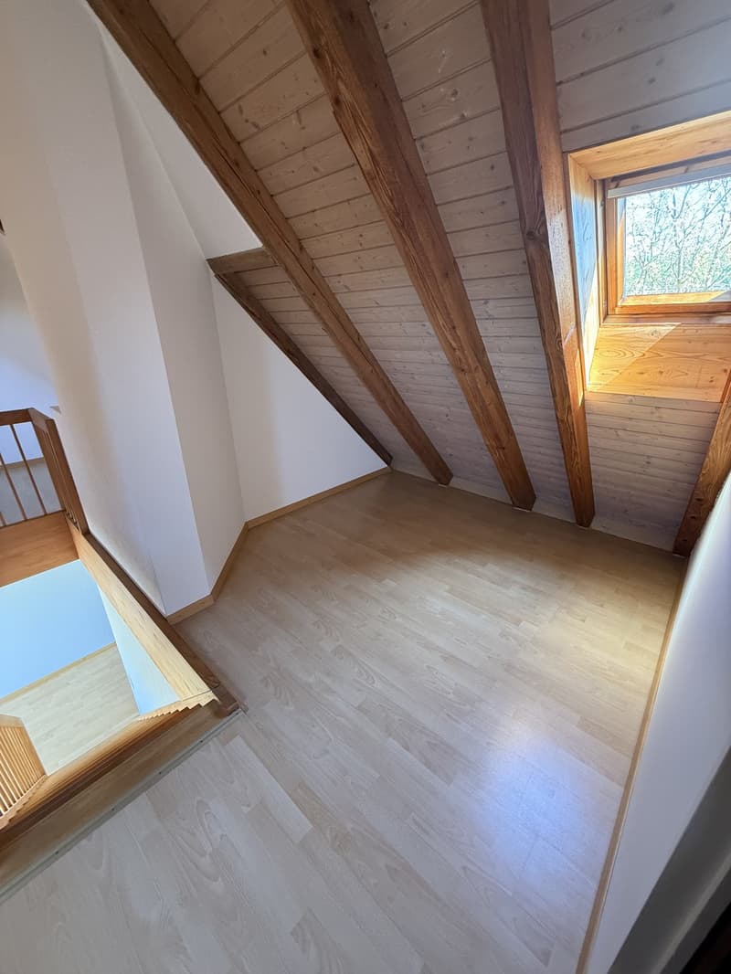 Appartement 2,5 pièces à Zurich (8)