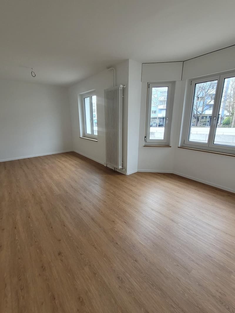 Wohnung mit grosser Terrasse an guter Lage (2)