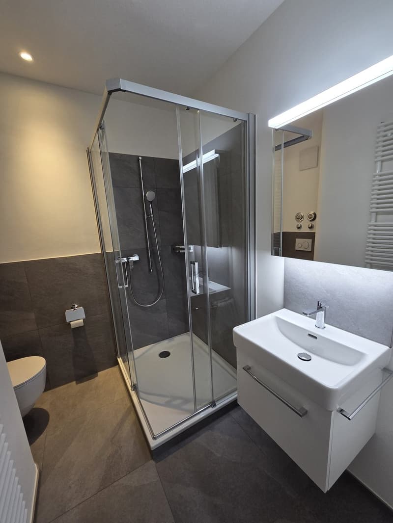 Wohnung mit grosser Terrasse an guter Lage (7)
