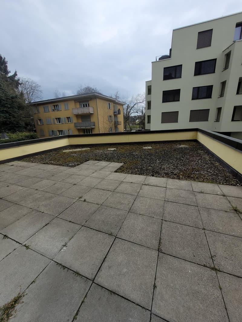 Wohnung mit grosser Terrasse an guter Lage (6)