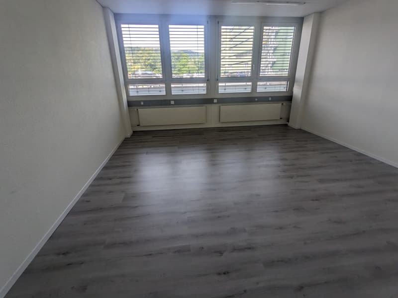 300m² office, 8953 Dietikon (6)
