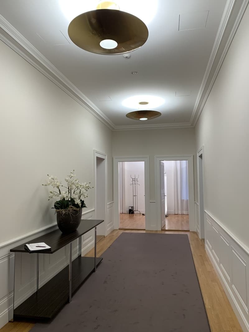 Exclusive office space in Art Nouveau building (2)