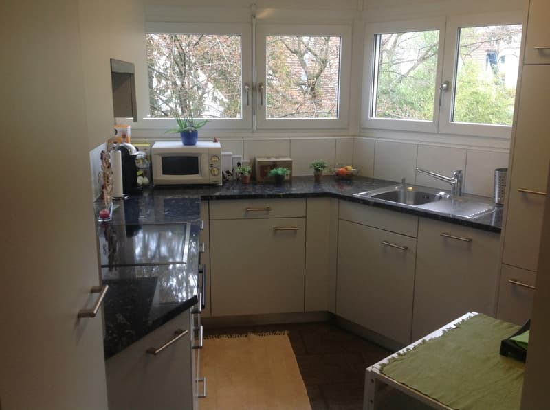 Temporary apartment in Zürich-Höngg for rent (2)