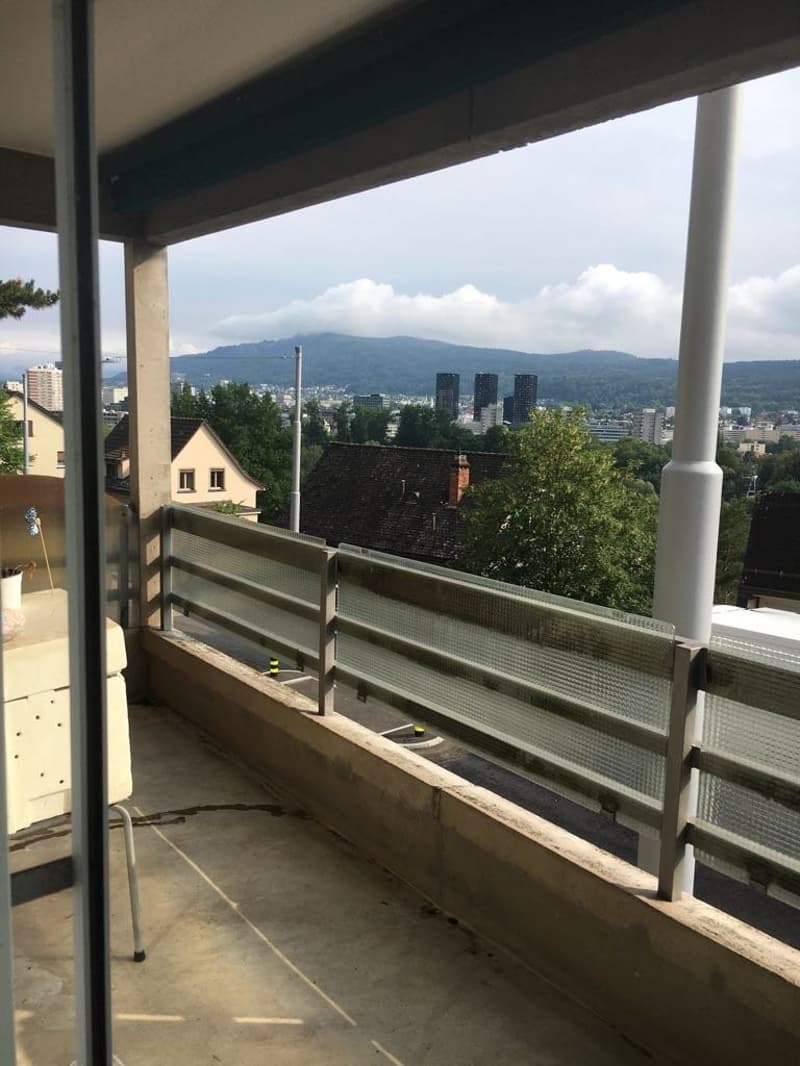 Temporary apartment in Zürich-Höngg for rent (5)
