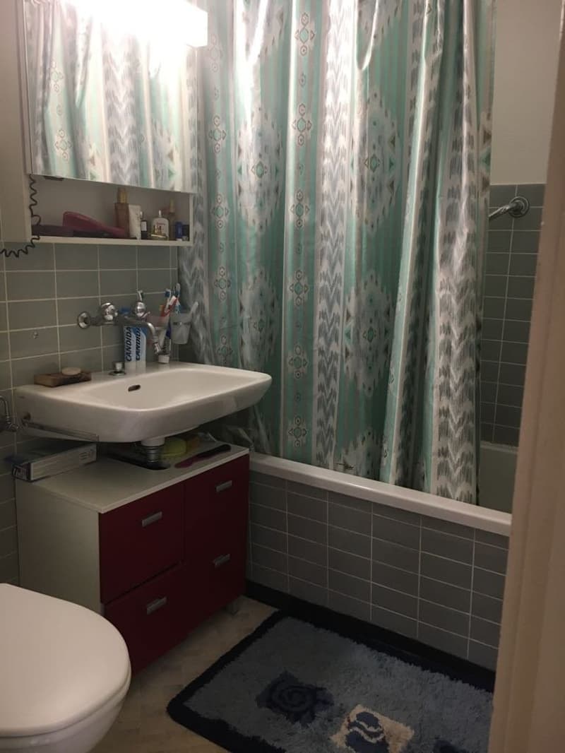 Temporary apartment in Zürich-Höngg for rent (4)