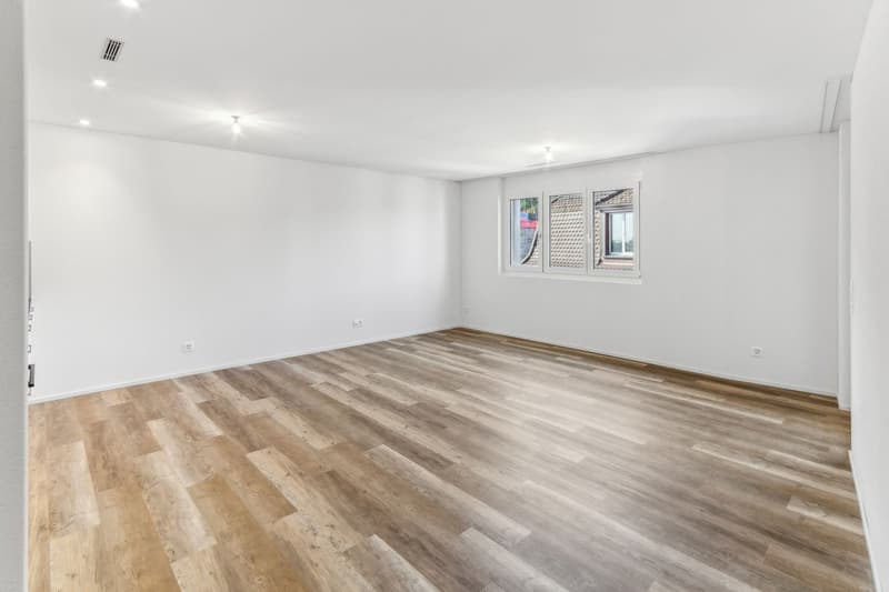 Grosszügige 2.5-Zimmerwohnung nahe Uni Irchel & Tierspital (2)