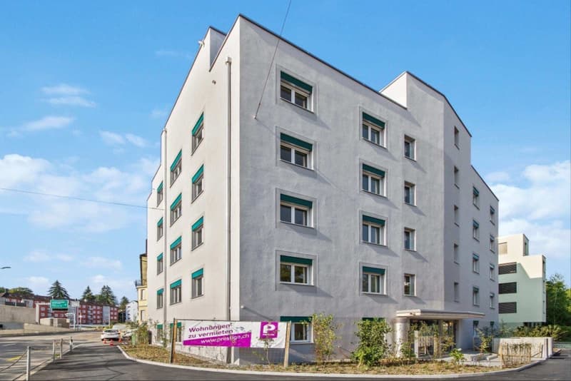 Grosszügige 2.5-Zimmerwohnung nahe Uni Irchel & Tierspital (6)