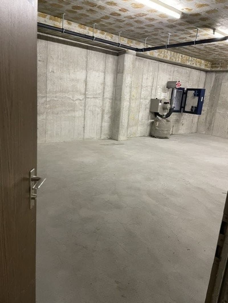Spacious storage room for rent in Dietikon's industrial zone (2)