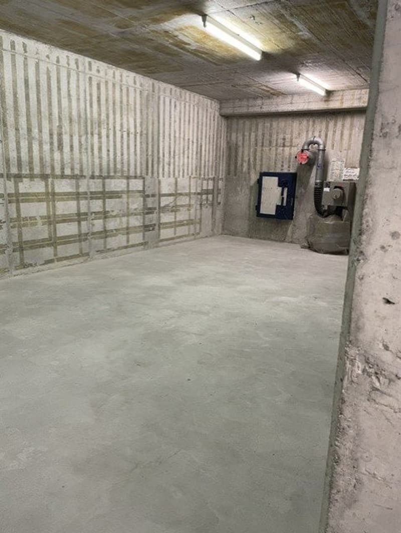 Spacious storage room for rent in the industrial zone of Dietikon (3)
