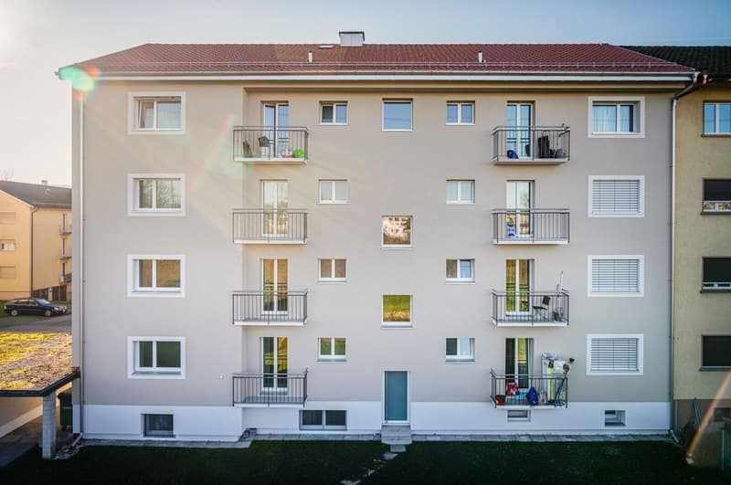 Appartement de 4 pièces rénové à louer au haut rez-de-chaussée (1)