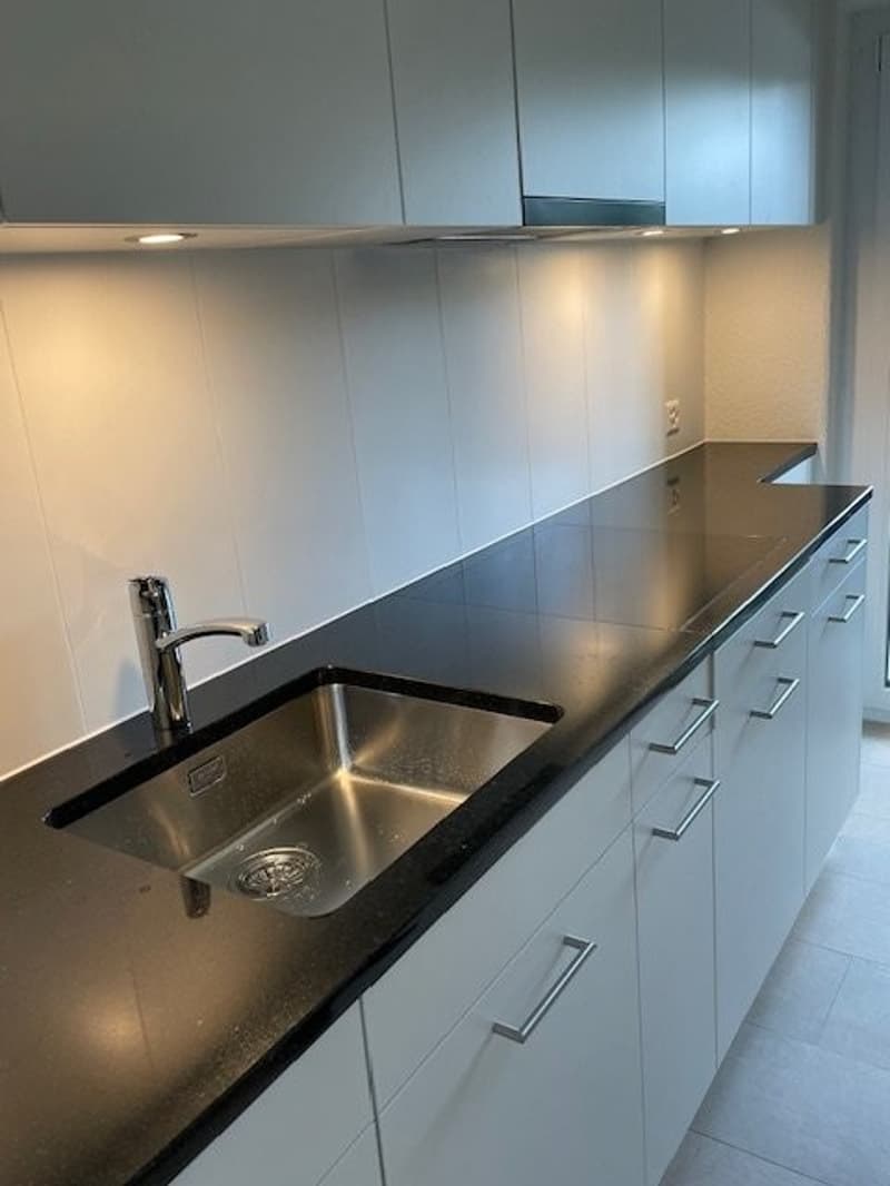 Appartement de 4 pièces rénové à louer au haut rez-de-chaussée (4)