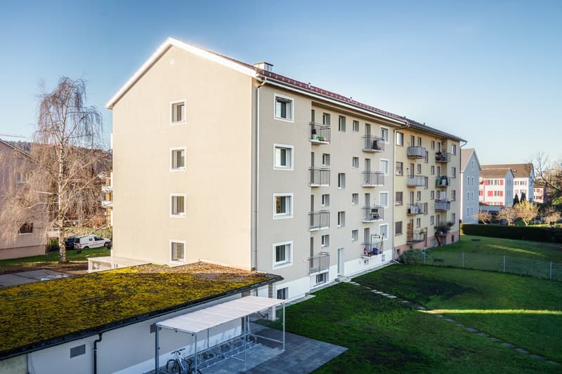 Appartement de 4 pièces rénové à louer au haut rez-de-chaussée (2)