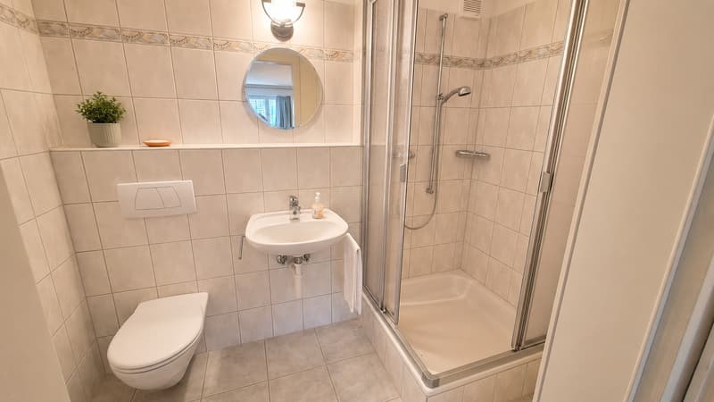 Charming 5.5-room semi-detached house in country house style with versatile usage possibilities (11)