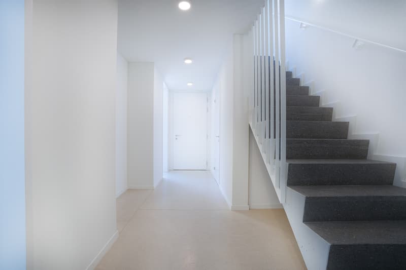 Bright 4.5-room new apartment on Triemlistrasse 90 - First rental (5)