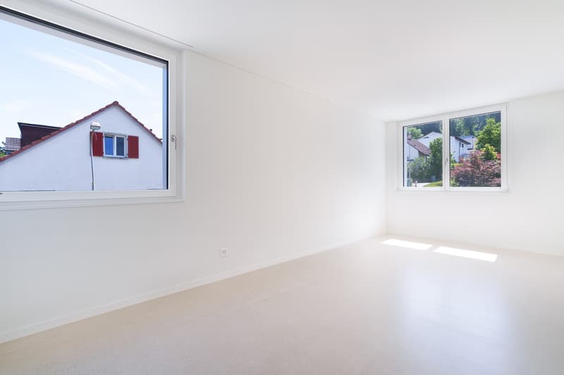 Bright 4.5-room new apartment on Triemlistrasse 90 - First rental (7)