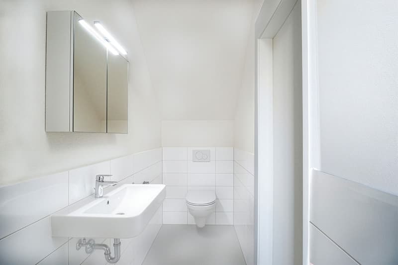 Bright 4.5-room new apartment on Triemlistrasse 90 - First rental (10)