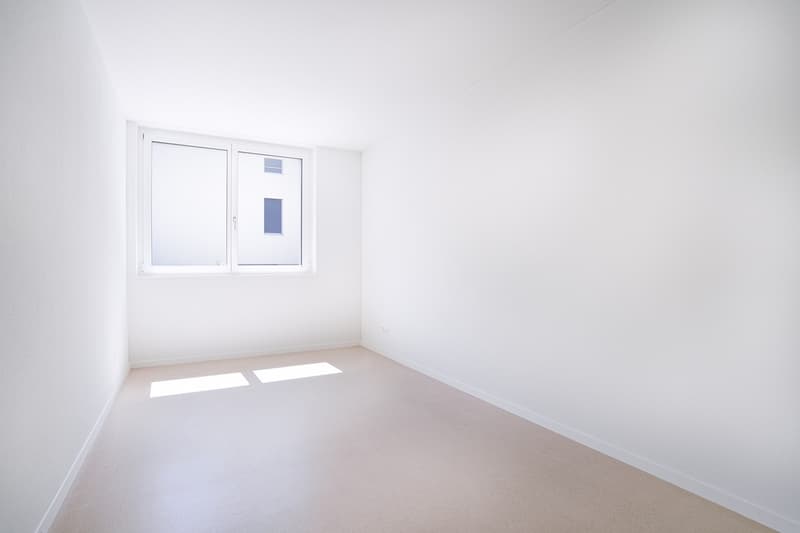 Bright 4.5-room new apartment on Triemlistrasse 90 - First rental (8)