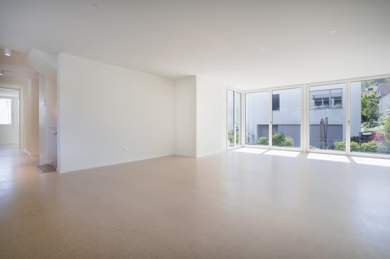 Bright 4.5-room new apartment on Triemlistrasse 90 - First rental (4)