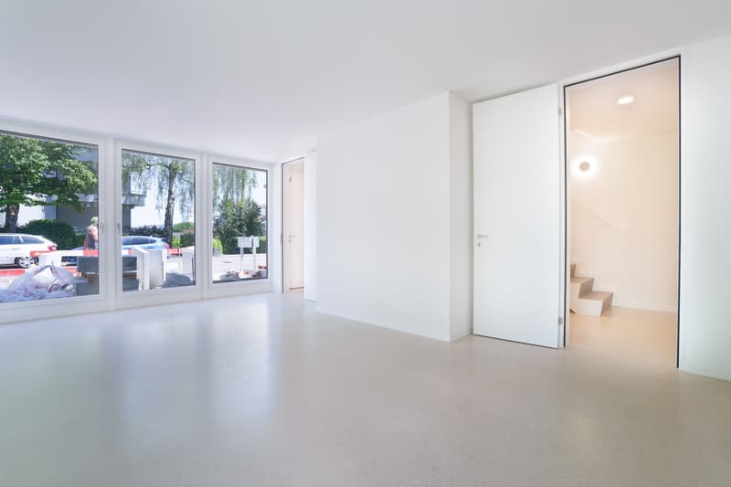 Bright 4.5-room new apartment on Triemlistrasse 90 - First rental (6)