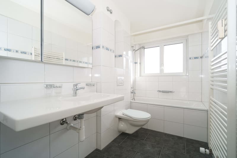 Moderne 3.5-Zimmer-Wohnung (2)