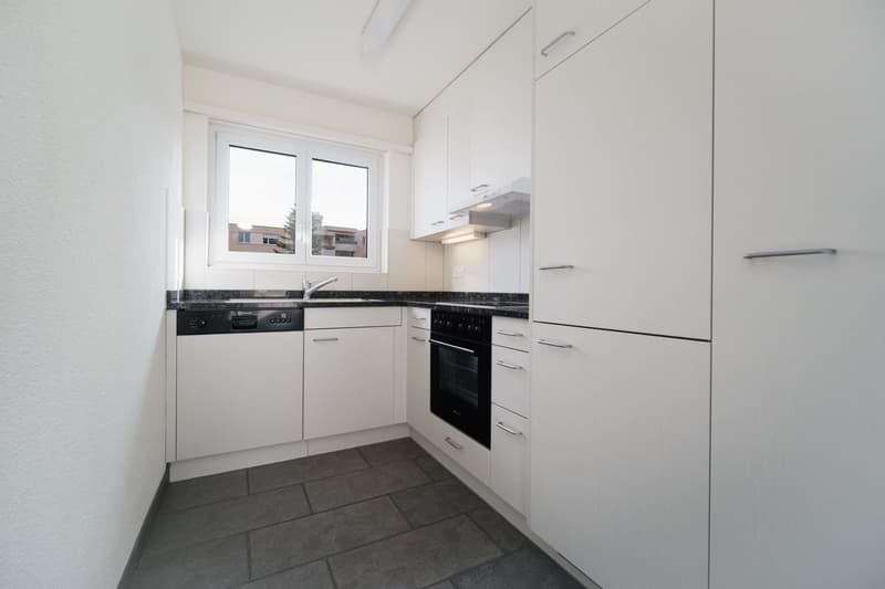 Moderne 3.5-Zimmer-Wohnung (3)