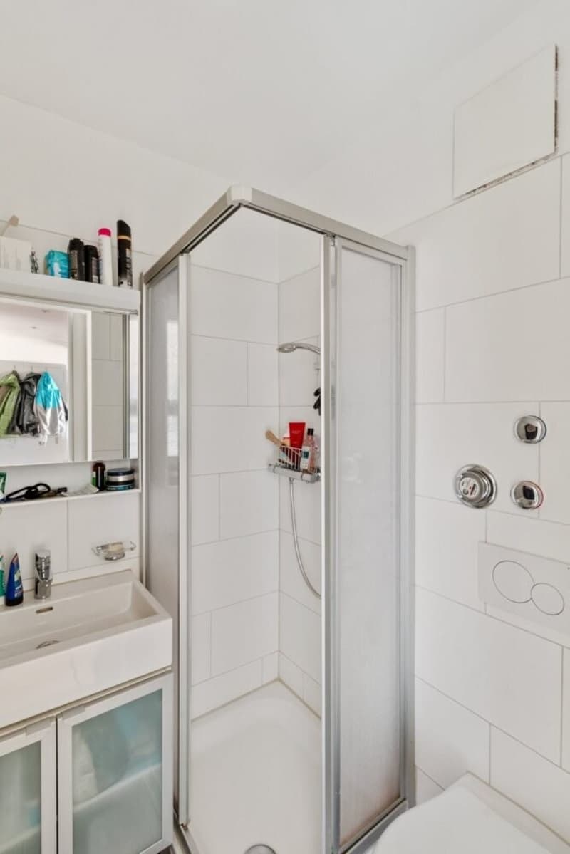 Wohnung mit Dachterrasse in stilvoll renoviertem Altbau (8)