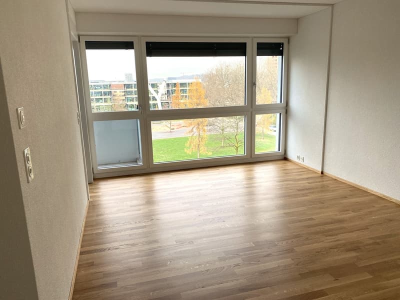Wohnung direkt am Albisriederplatz (6)