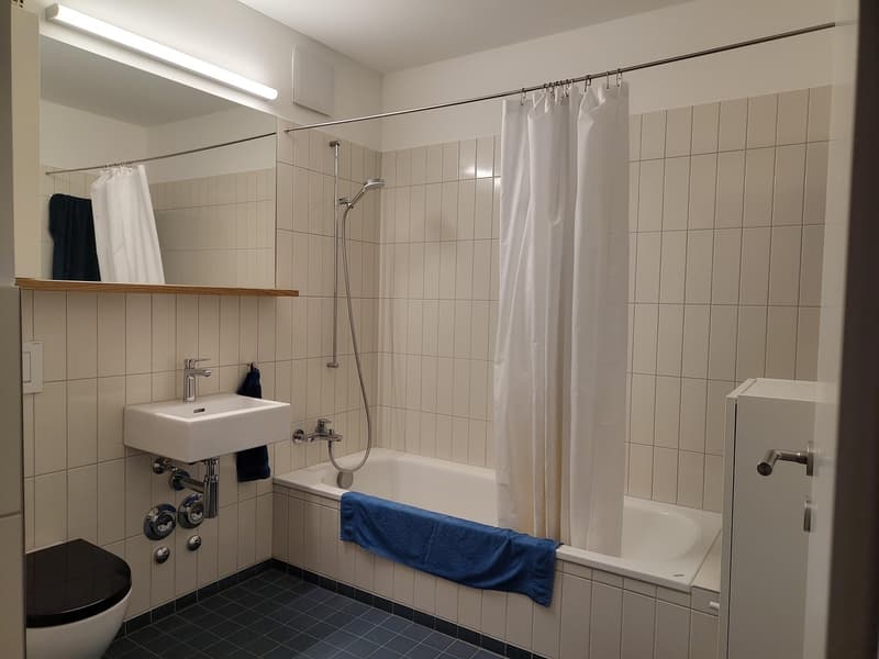 Moderne Wohnung in Uster zu vermieten (6)