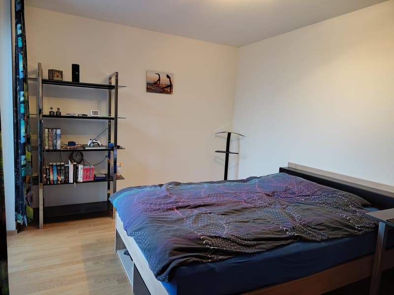 Moderne Wohnung in Uster zu vermieten (4)
