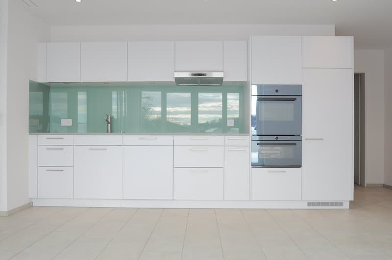 2.5 Zimmer-Attikawohnung in Erlinsbach SO (3)