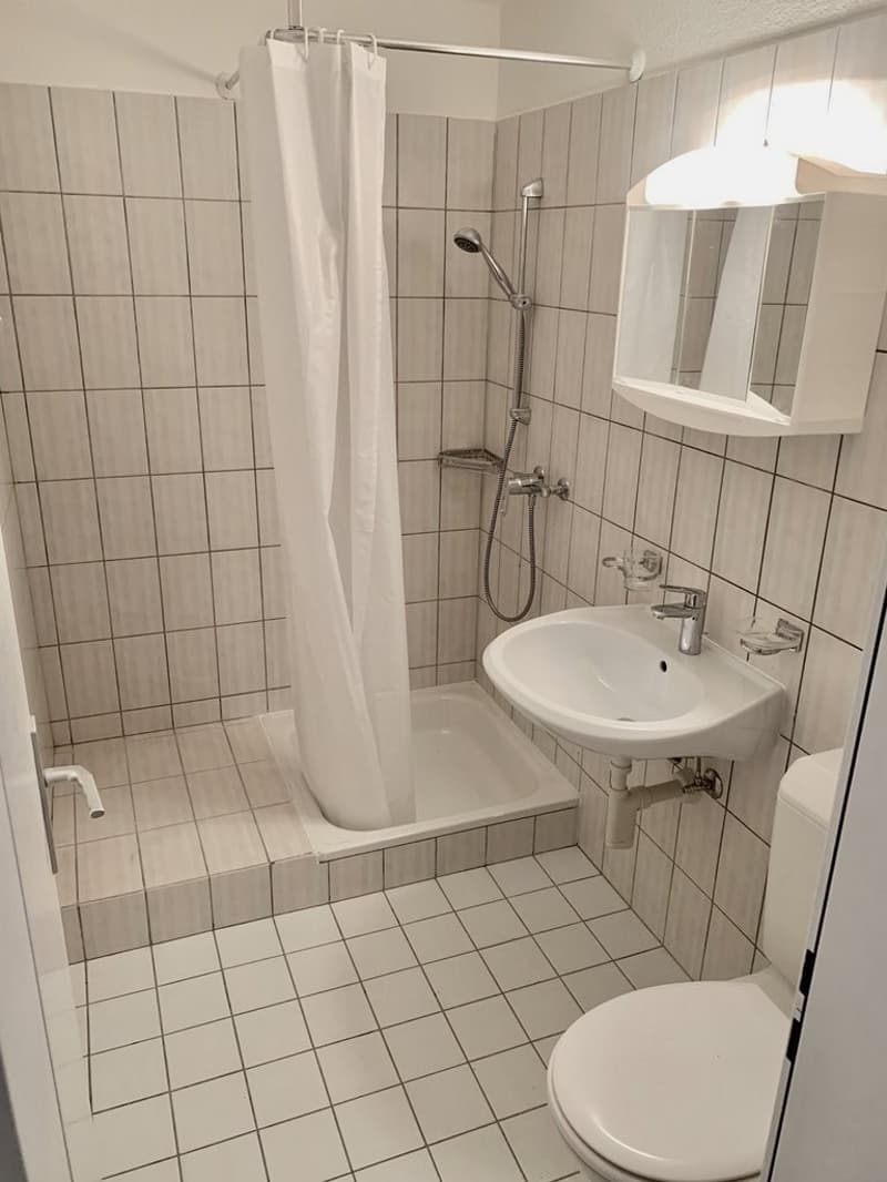 Small but fine in the heart of Bad Zurzach! (4)